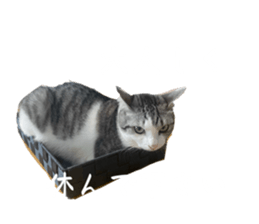 762755091