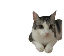 762755102