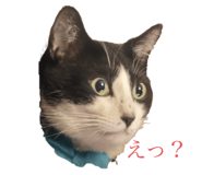 762767065