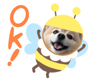 762772251