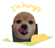 762772253