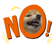 762772254