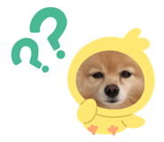 762772256