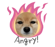 762772260