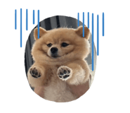 762772261