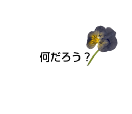 762778973