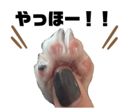 762779365