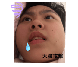 762781998