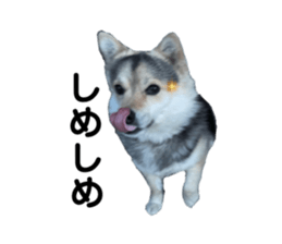 762787534