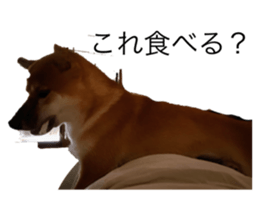 762789112