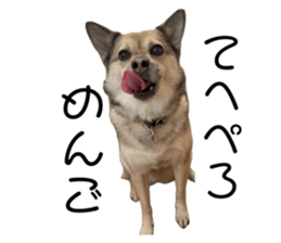 762789730