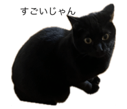 762791665