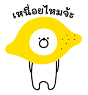762793902