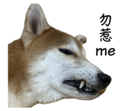 762795722