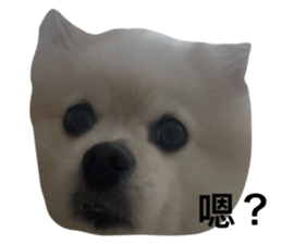 762801583