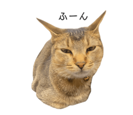 762804755