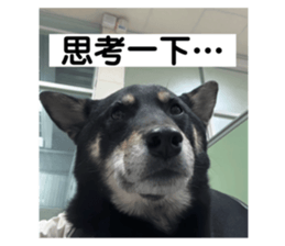 762809878