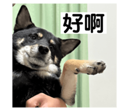 762809880