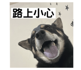 762809895