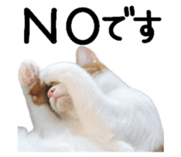 762811175