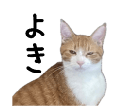 762811176