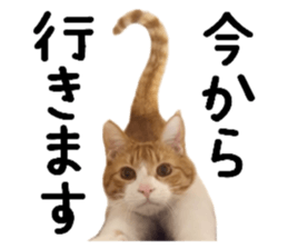 762811180