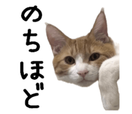 762811182