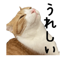 762811185