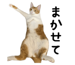 762811190