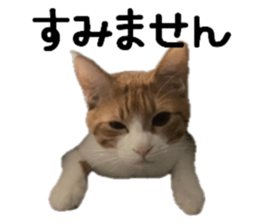 762811191