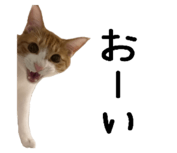 762811195