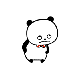 762811574