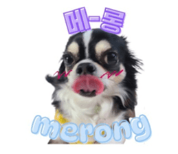 762816089