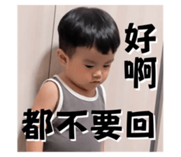 762816543