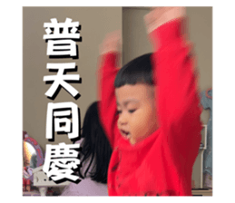 762816555