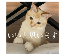 762825631