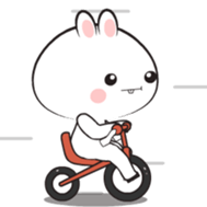 762826229