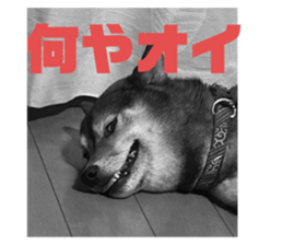 762826860
