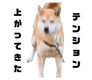 762827857