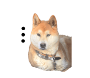 762827861