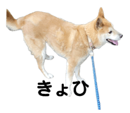 762827864