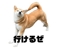 762827865