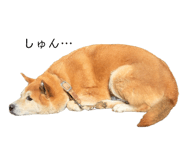 762827868