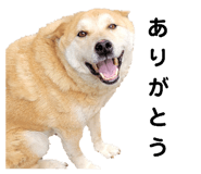 762827869
