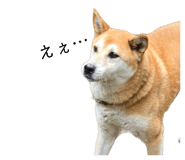 762827870