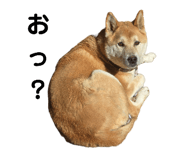 762827871