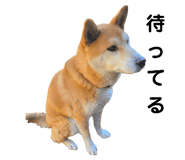 762827872