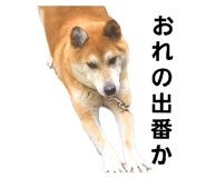 762827873