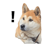 762827875