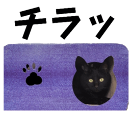 762827966